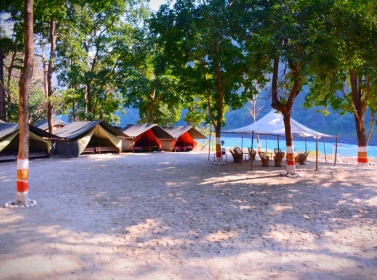 Camping in Rishikesh