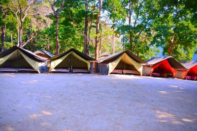 Camping in Rishikesh