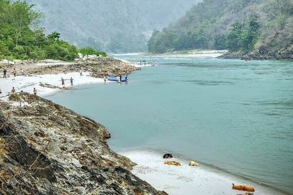 Camping in Rishikesh