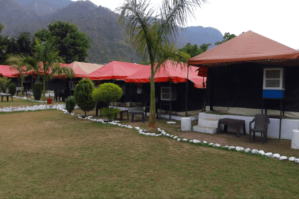 Camping in Rishikesh